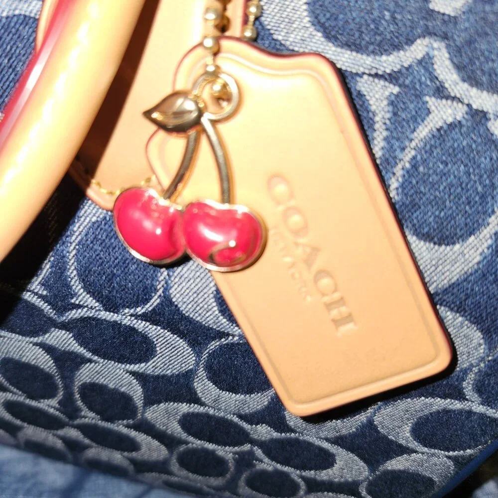 COACH Rowan Large Satchel Bag in Signature Canvas